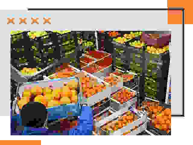 Перевозка скоропортящихся продуктов в Сестрорецке
